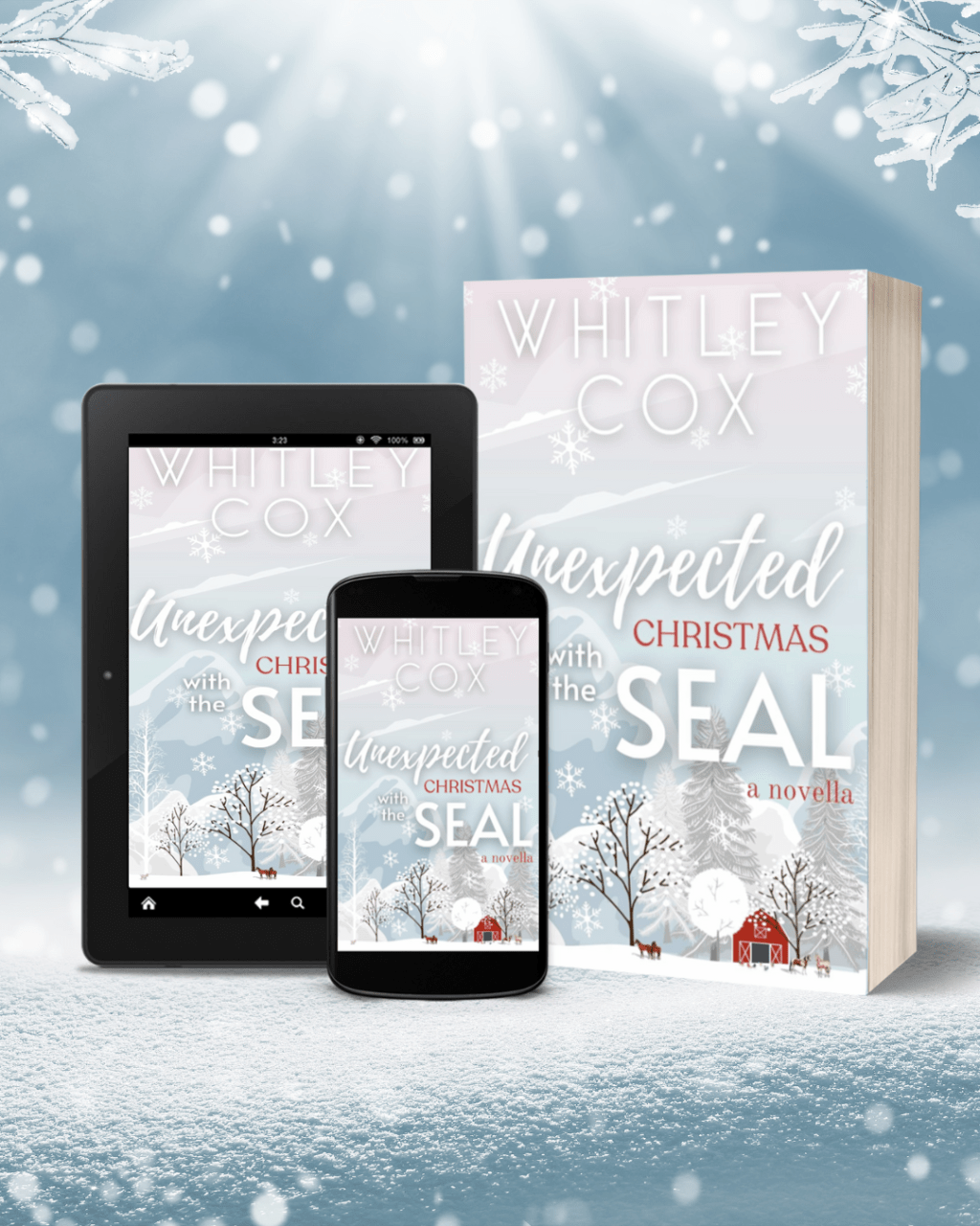 Unexpected Christmas with the&nbsp;SEAL