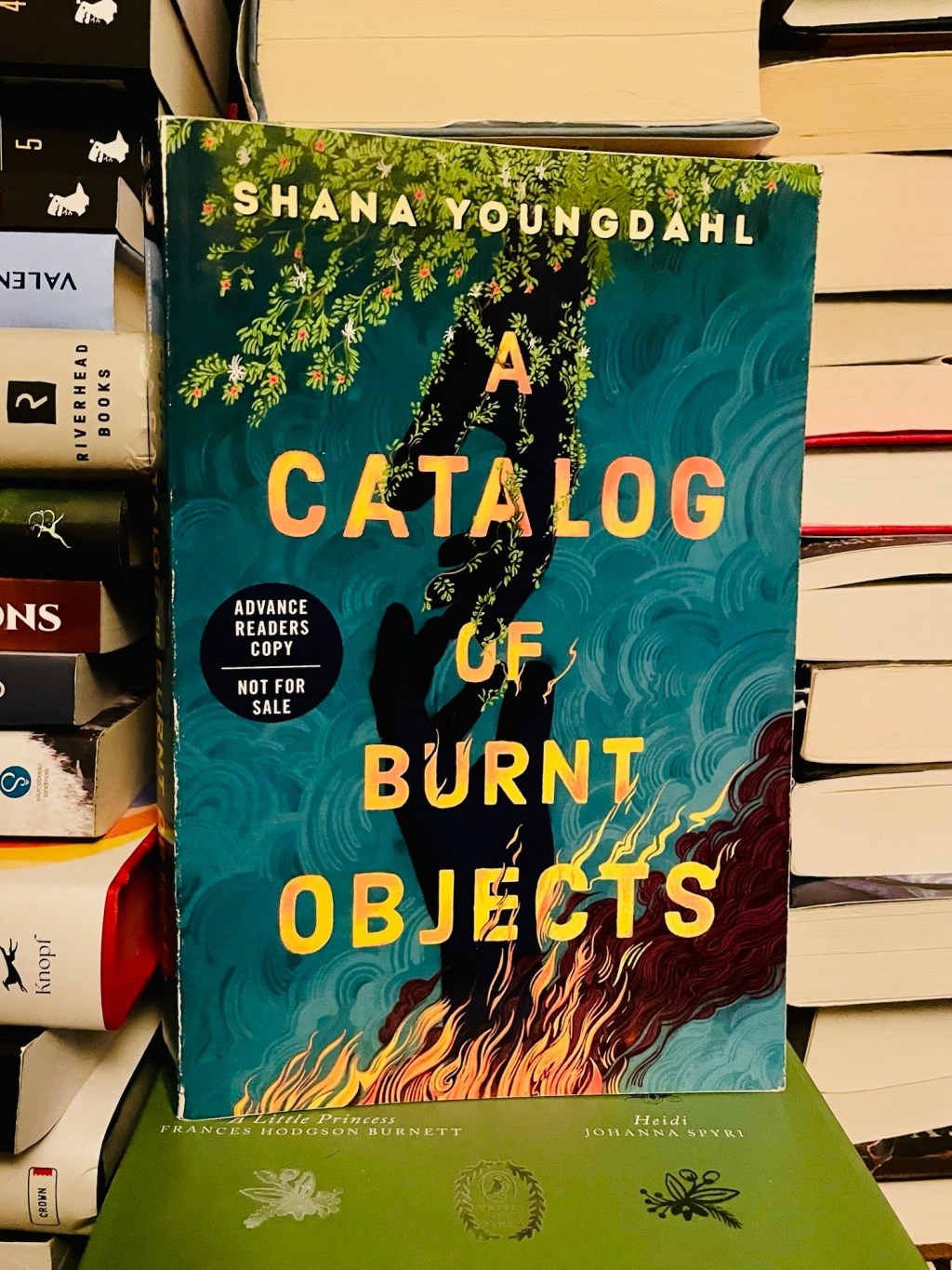 A Catalog of Burnt&nbsp;Objects