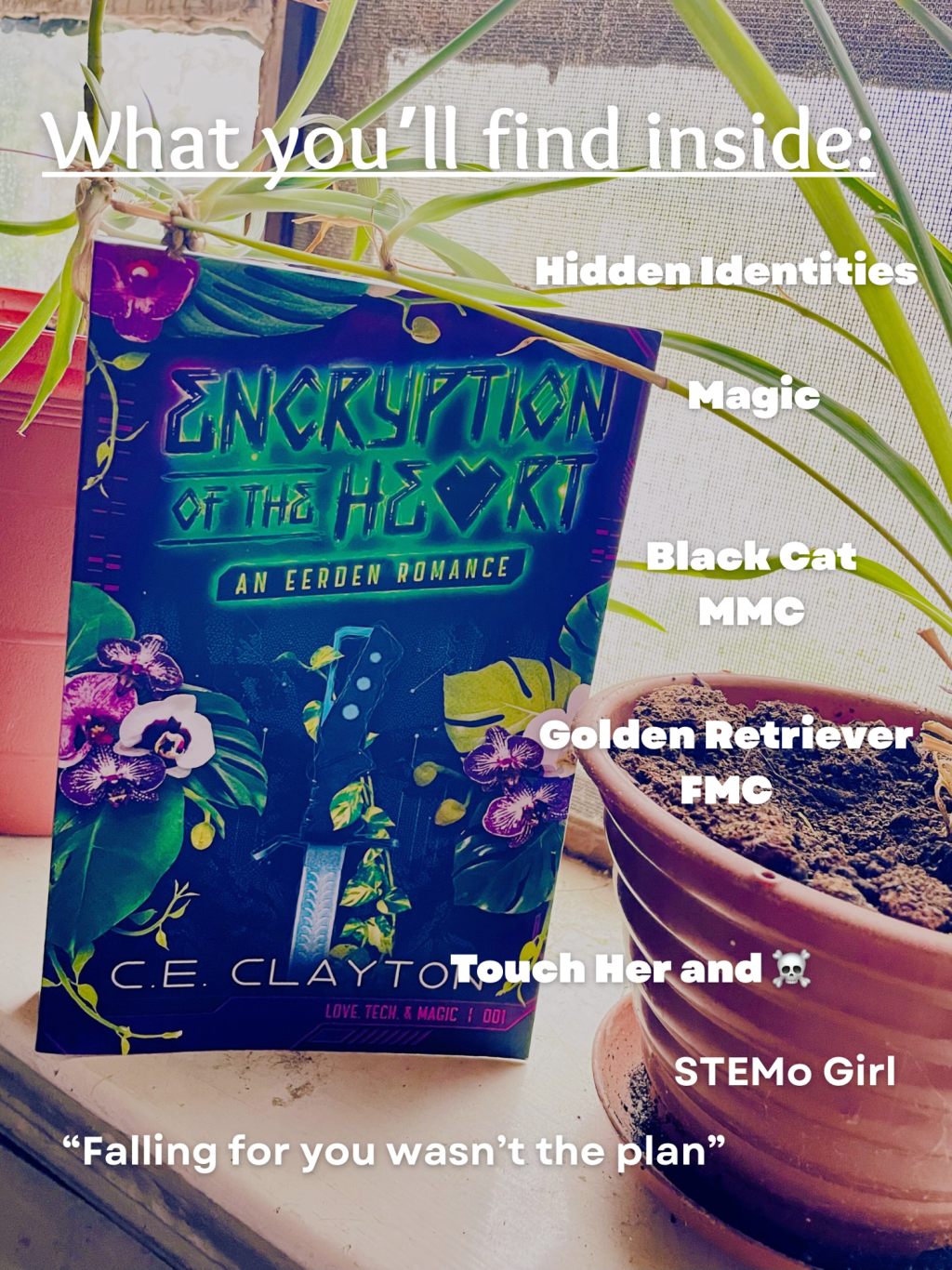 Encryption of the&nbsp;Heart