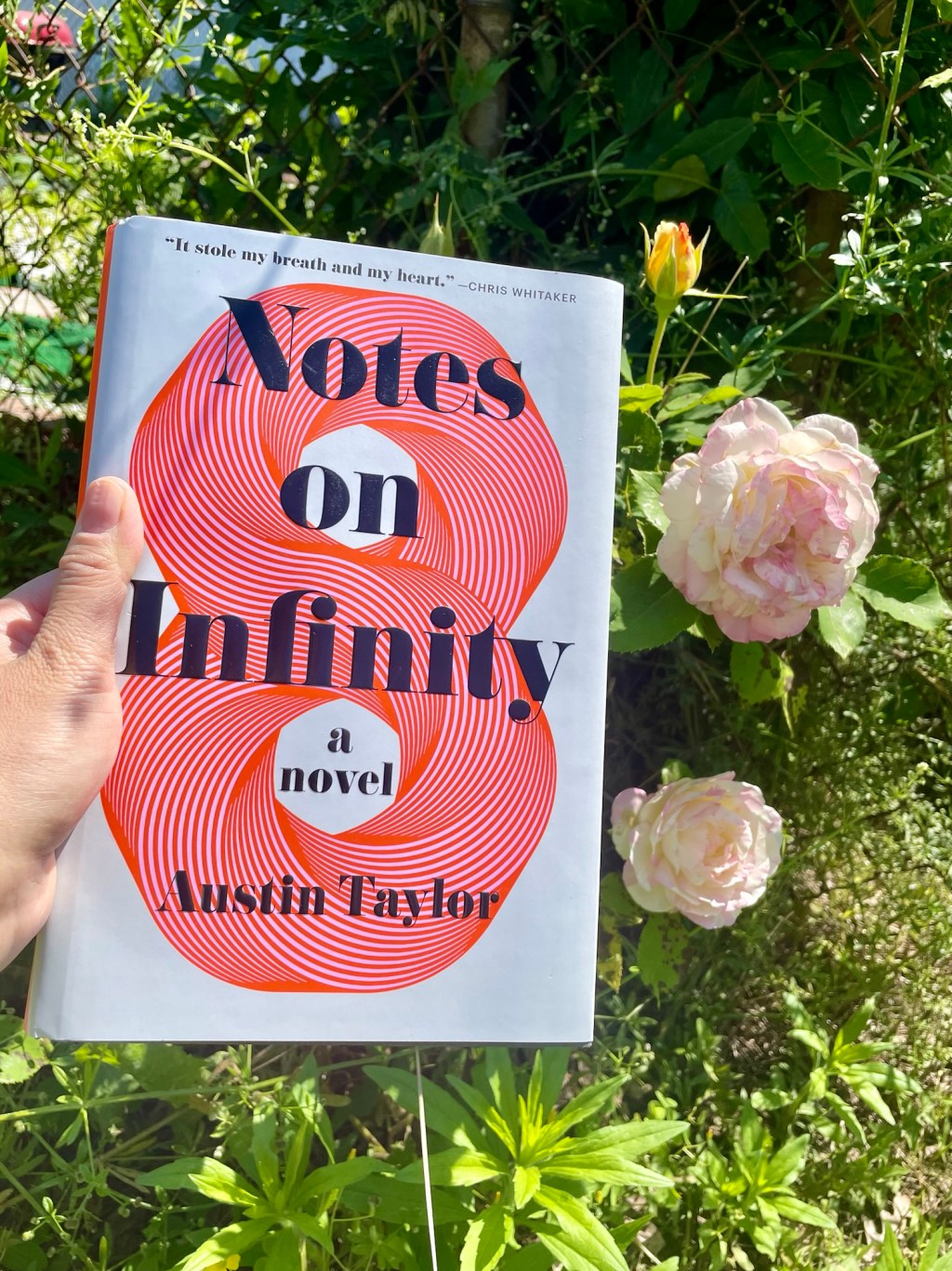 Notes On Infinity