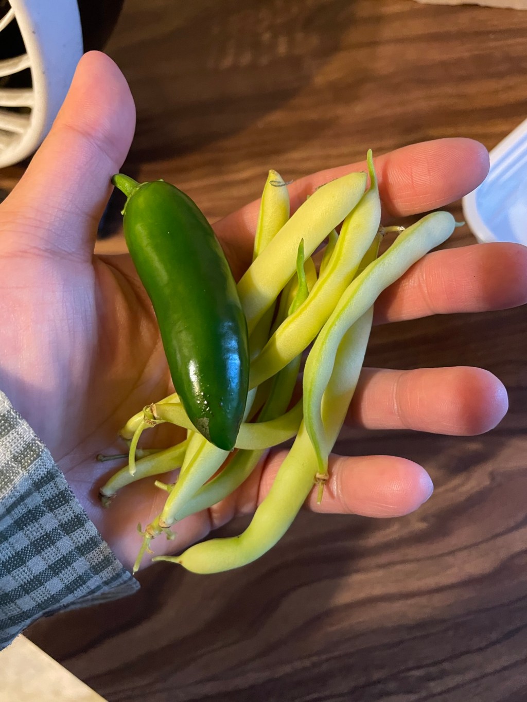 Gardening post! (Finally?)