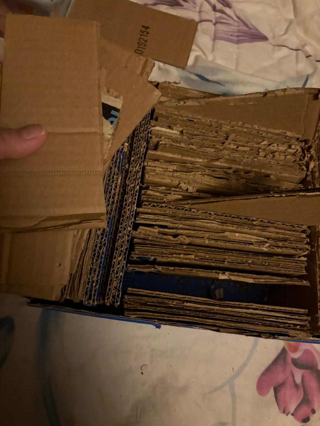 Cat scratcher update